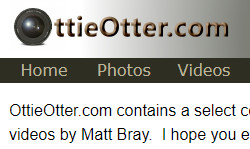 ottieotter.com